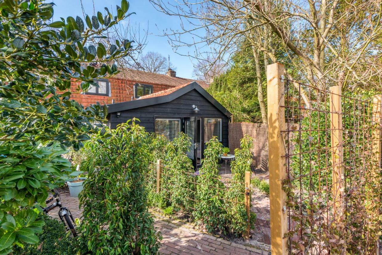 Studio Clematis Bergen Luaran gambar